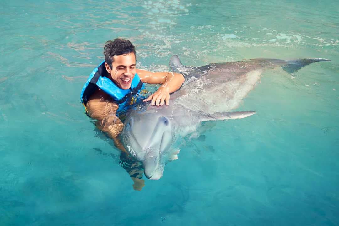 Dolphin Cove Ocho Rios