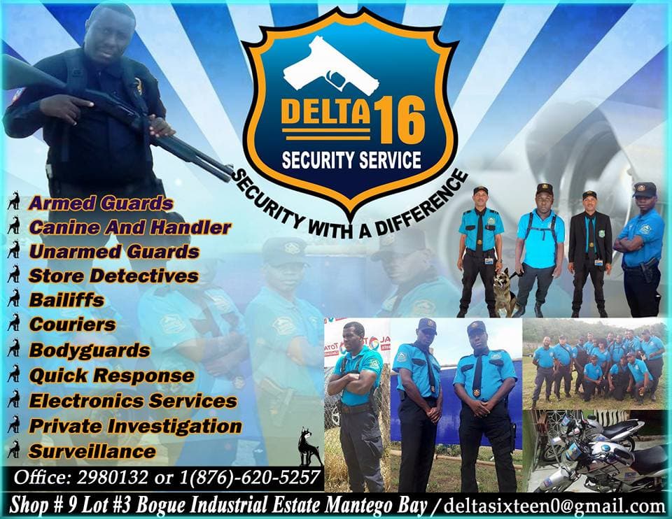 Delta 16 Security Services