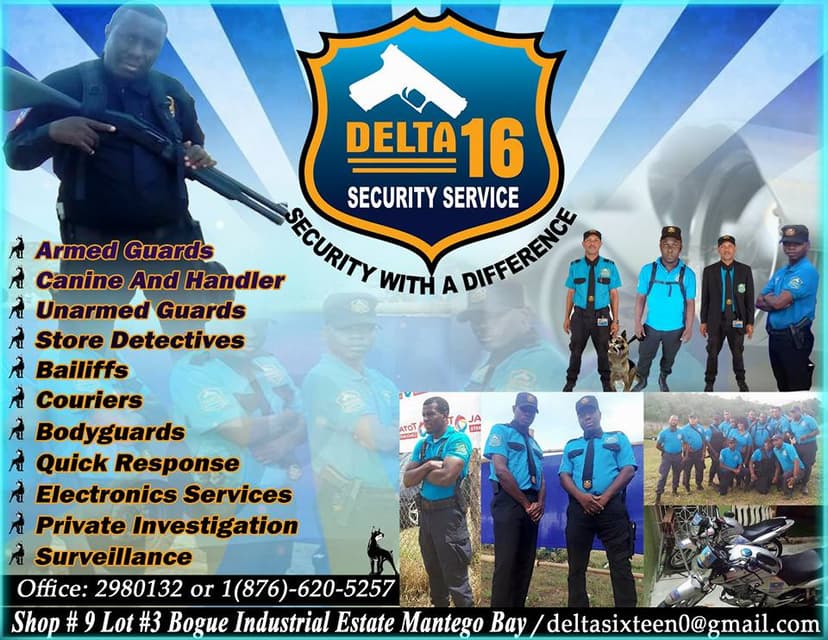 Delta 16 Security Services