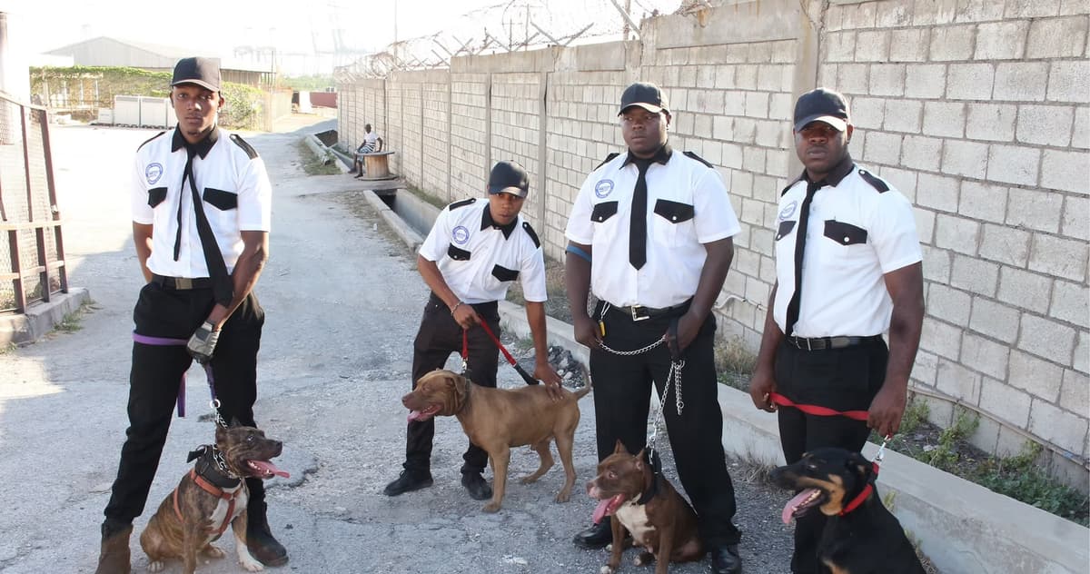 Jamaica Ultimate Security