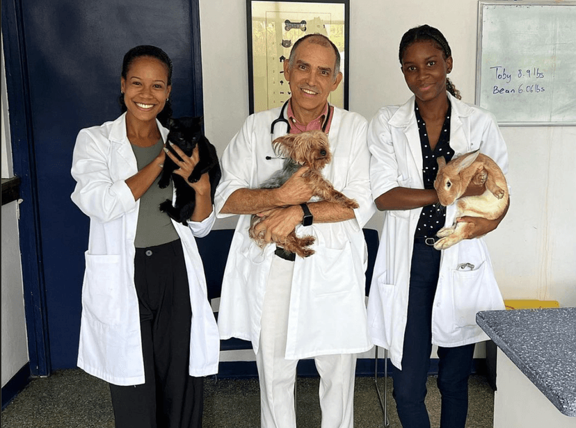 Best Veterinarians in Kingston