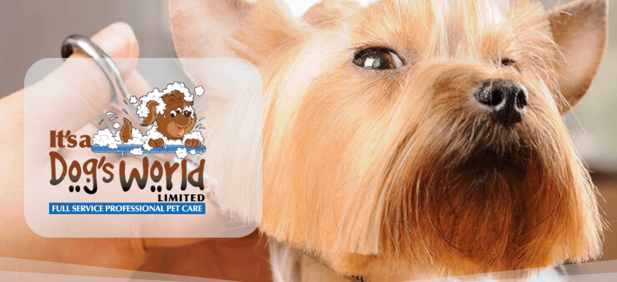 It’s A Dog’s World - Smart Line Pet Products