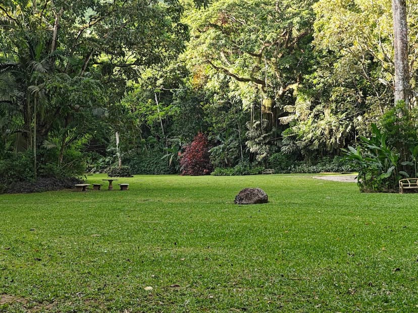 Boone Hall Oasis