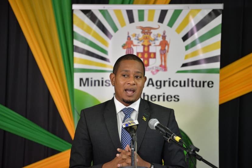 Jamaica partners with importers to address food shortages after hurricane